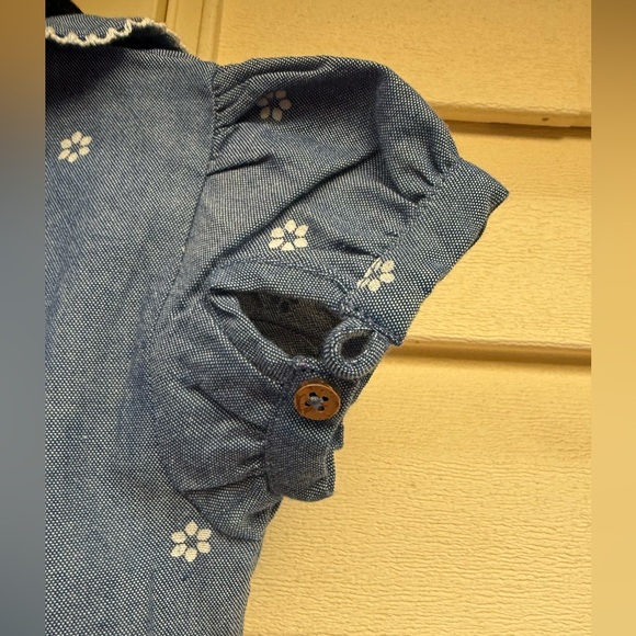 NWT City Mouse Chambray Daisy Peter Pan Collar Dress, 3T - Picture 10 of 10